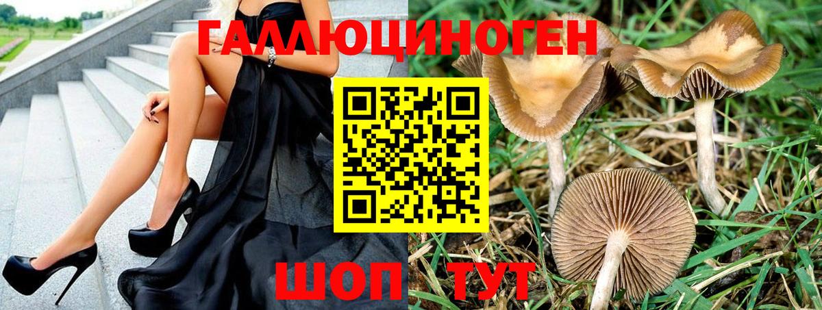 Псилоцибиновые грибы Magic Shrooms Можайск