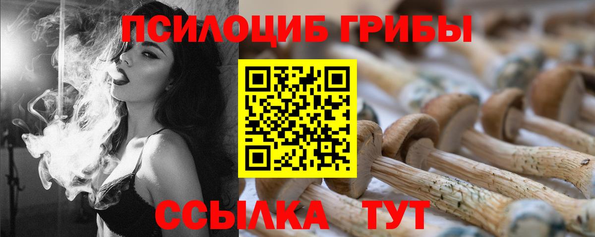 Можайск  Псилоцибиновые грибы Psilocybe  Вход с VPN 